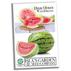 Dixie Queen Watermelon Seeds for Planting - 50+ Heirloom Seeds Per Packet, (Isla's Garden Seeds), Non-GMO, Botanical Name; Citrullus Lanatus, Great Gift, Delicious Flavor