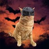 Cat Bat Cosplay Hat Cat Bat Mask Funny 3D Printed