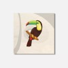 Unbranded Cute Toucan Animal 4'' X 4'' Square Wooden Coaster