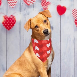 ADOGGYGO Valentine's Day Dog Bandana, Red Blue Valentine Dog Scarf, Adjustable Fit Dog Valentine Heart Bandanas for Medium Large Dogs Pets (Large)