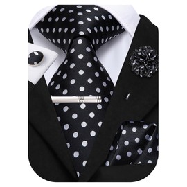 Hi-Tie Black and White Polka Dot Mens Tie Set Silk Woven Neckie and Pocket Square Lapel Pin Silver Tie Clip Cufflinks Set Wedding Business 6PCS