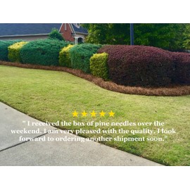 Pine Straw Mulch - 14" Premium Long Needle - 240 Sqft - New Bigger Box (1)