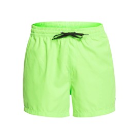 Quiksilver Boys Everyday Volley 15 Swim Shorts, Green, XXL EU