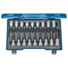 GEDORE ITX 19 LKP Screwdriver bit Socket Set 1/2" 18