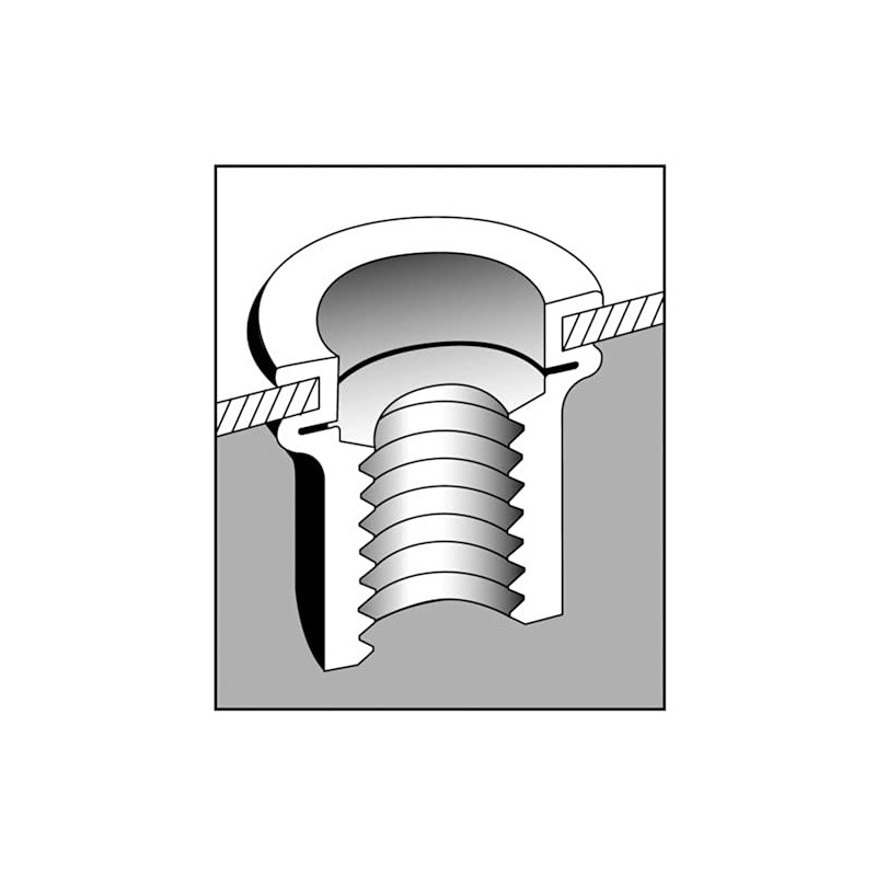LOBTEX Blind Nut "Nut" (Flat Head, Steel) Eco Pack, Plate