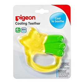Pigeon Mordedor Frio Estrella