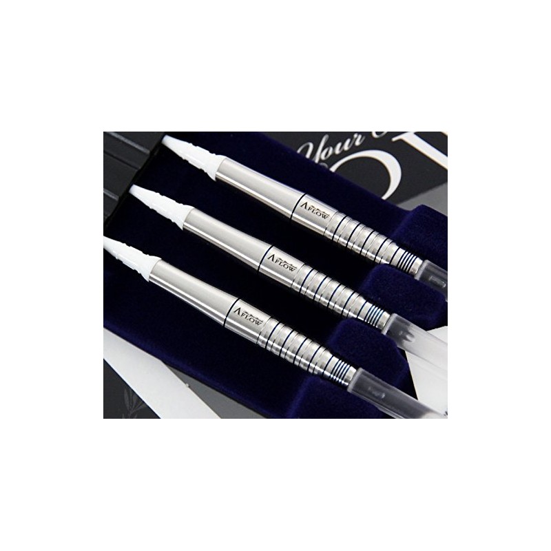 DYNASTY A-FLOW SILVER LINE EARTH SALVIA サルビア 2BA ソフトダーツ バレル