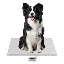 Digital Livestock Scale, 660Lbs x 0.02Lbs Heavy Duty Postal ShippingScale, Large Pet Vet Scale with Stainless Steel Platform, Electronic Large Dog Hog Sheep Goat Pig Sheep Scale