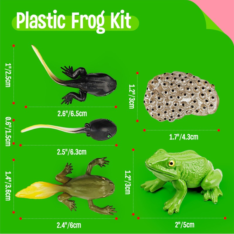 15 Frog Life Circle Flashcards with 5 Plastic Figurines, Frogs