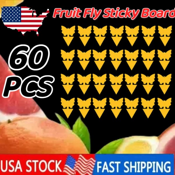 Unbranded 60pcs Sticky Fruit Fly Traps, Fungus Gnat Killer Trap