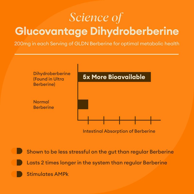 GLDN Berberine Advanced Absorption Formula - 200mg Dihydroberberine 5X Improved