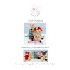 Crochet Kit - Kittens Amigurumi Crochet Materials and Pattern