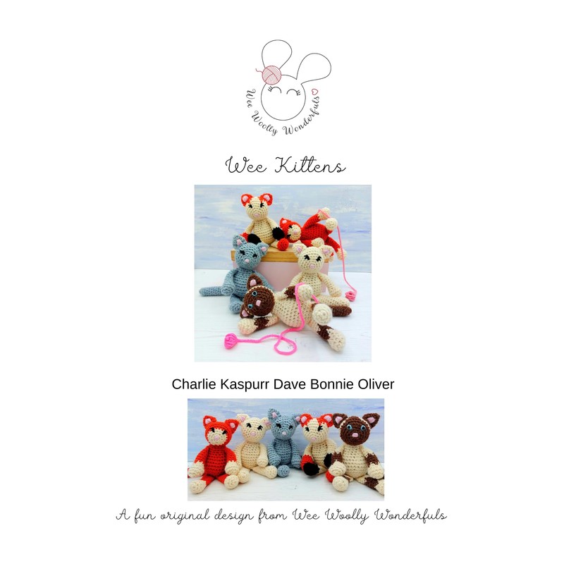 Crochet Kit - Kittens Amigurumi Crochet Materials and Pattern