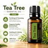 ( SHIP FAST ) doTERRAs Peppermint/Lavender/Lemon/Zengest/Ginger/Easy Air/Patchouli/Tea Tree/Frankincense/On Guard/Wild Orange