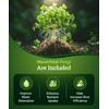 FoxFarm Happy Frog All Purpose Fertilizer - Slow Release Fertilizer