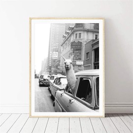 Martin Kench Design Poster Wall Pictures, Black and White Alpaca, Without Frame Unframed Decorative Paintings, Decoration for Living Room, Office, Hallway, Entrance (Style A, 30 x 40 cm)