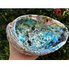 Abalone Shell, Seashell Incense Burner, Smudge Bowl for Holding Smudge