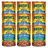Bush's Best Mild Chili Beans - Pinto, 16 OZ (Pack