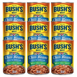 Bush's Best Mild Chili Beans - Pinto, 16 OZ (Pack of 9)