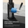 FORIOUS Black Kitchen Faucet with Pull Down Sprayer, Stainless Steel