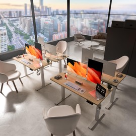 ExaDesk 48 * 24 Electric Standing Desk, Adjustable Height Sit Stand Up Desk, Motorized Home Office Computer Gaming Workstation Desk