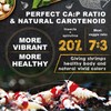 Ultra Fresh Shrimp Food, High Protein, Rich in Vitamins for