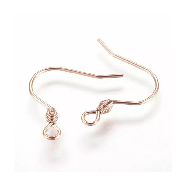 Unbranded 20 pcs 304 Stainless Steel Earring Hooks with Spring