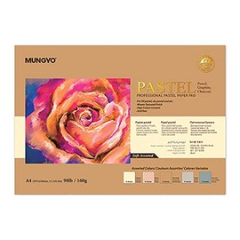 Mungyo - Bloc de papel pastel profesional tamaño A4 para pastel al óleo, pastel seco, 30 hojas (surtido suave)