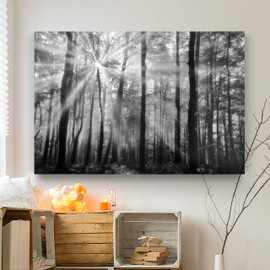 Renditions Gallery Canvas Nature Wall Art Home Paintings & Prints Vintage Glowing Forest Modern Black & White Botanical Glam Artwork Decorations for Office Bedroom Kitchen - 18"x27" LT39