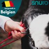 SNURO Polypropylene rope (8 mm, 20 m) - rope with