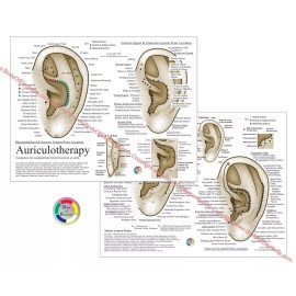 Auriculotherap