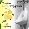 Urinal Screens, Splash Mats, Urinal Deodoriser - 10 Pack -