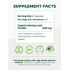 2-Pack Pura Vida Moringa Capsules 1000mg – Immune Support, Gut