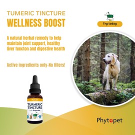 Phytopet Turmeric Root Extract | 100ml | Natural Anti-Inflammatory & Liver Support | Curcuminoids, Antimicrobial Properties | For Dogs, Cats, Birds, Horses