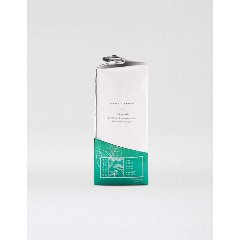 Twin Engine Coffee NICARAGUAN CIGAR BLEND #1 - Medium Roast,