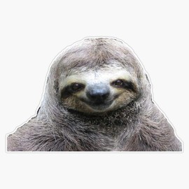 Smiling Sloth Vinyl Waterproof Sticker Decal Car Laptop Wall Window Bumper Sticker 5"