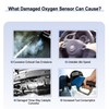 EXPEDE Upstream O2 Oxygen Sensor Replacement for 1995-2000 Dodge Caravan