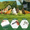 HCFGS Chicken Wire,0.6in Hexagonal Green Floral Chicken Wire Mesh PVC