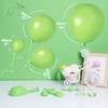 Henviro Lime Green Party Balloons - 100 Pcs 5/10/12/18 Inch