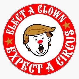 Elect A Clown Expect A Circus Trump Protest Design Sticker Bumper Sticker Vinyl Decal 5"