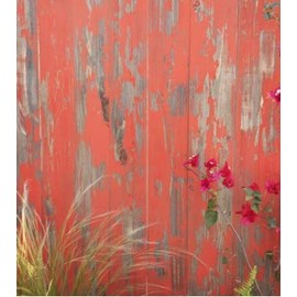 Timeline Wood Skinnies Sample (New Orange)