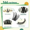 Extensiones De Pestañas Kit 144pcs Mixta Gruesa Chloe Laurel