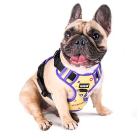 iChoue Dog Vest Harness Soft Padded No Pull Adjustable Reflective for Small Medium Dogs - Multi Color L