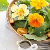 Dirt Goddess Super Seed~ Nasturtium, Tall Trailing Mix Seed~ Tropaeolum