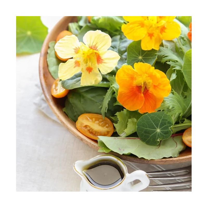 Dirt Goddess Super Seed~ Nasturtium, Tall Trailing Mix Seed~ Tropaeolum