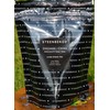 Steenbergs Organic Long Jing Loose Leaf Tea 250g, Chinese green tea