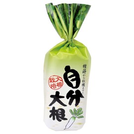 Seishin Pottery GD-391 Own Radish