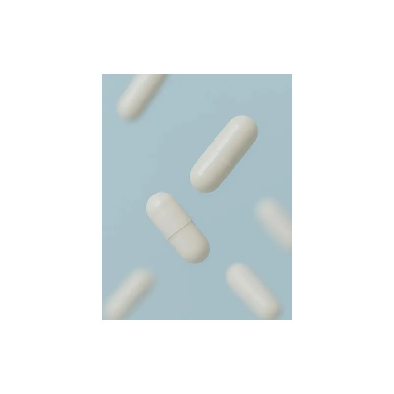Probióticos Akkermansia 400 Mg Salud Intestinal Y Metabólica Sabor Na