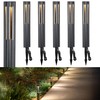 LEONLITE Low Voltage Path Lights, 3W LED Landscape Pathway Lights,