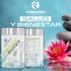 Forzagen | Suplemento Alimenticio Pre&Probiotics | Probioticos - 10 Billones